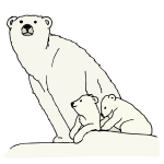 Polar Bear and Cub Picture