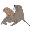 Seals Picture