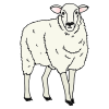 The+sheep+says Picture