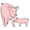 2+pink+pigs. Picture