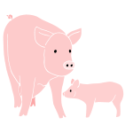 Pigs Stencil