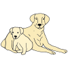 mama dog