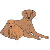 female dog