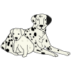 mother dog