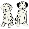 2 furry puppies