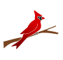 Cardinal Stencil