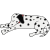 sleeping dog