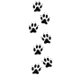 Dog Tracks