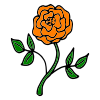 Orange+Rose Picture