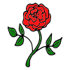 ROSE+a+flower Picture