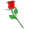 1+Red+Rose Picture