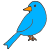 bird