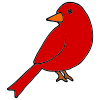 Red+Bird Picture
