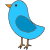 bird