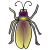 beetle