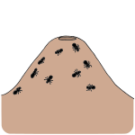 Anthill Picture
