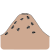 bugs