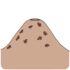 Follow+ants+to+their+Anthill Picture