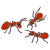 bugs