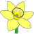 petals