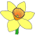 petals