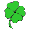 Can+you+find+a+lucky+four+leaf+shamrock_ Picture