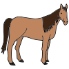 I see the horse.