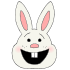 bunny