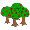 Apple+Trees Picture