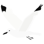 Seagull Stencil