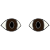 pupils