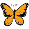 I can see butterflies.