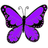 There_s+a+purple+butterfly_+purple+butterfly+fly+fly+fly_ Picture
