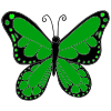 There_s+a+green+butterfly_+green+butterfly+fly+fly+fly_ Picture