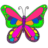 The+butterfly+is+colorful. Picture