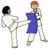karate and taekwondo