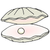 clam Picture