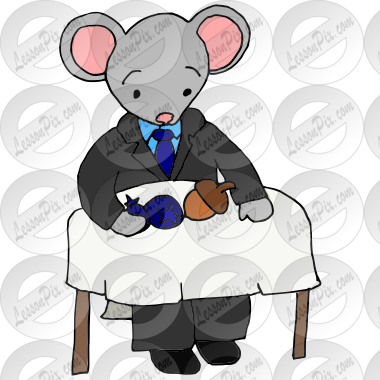 City Mouse