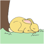 Sleeping Hare Picture