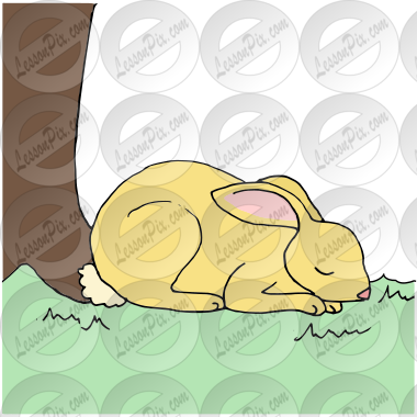 Sleeping Hare