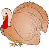 Turkeys+are+wild+and+domestic+animals Picture