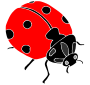 Ladybug Stencil