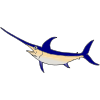 Ask me about the ocean