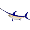 blue+swordfish Picture