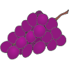 Pull+grapes+off+stem Picture
