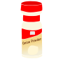 Onion Powder
