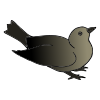 mockingbird Picture