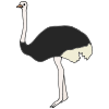 The Ostriches were hiding