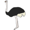 the+ostrich Picture