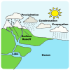 water cycle